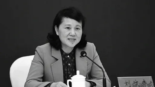 湖南女財政廳長證實被殺害　詭異！兩名兇嫌卻在現場墜樓斃命