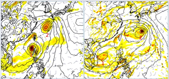 最新（13日20時）歐洲模式（ECMWF）及美國模式（GFS）、下週三（18）晚間20時模擬圖顯示，季風環流（Monsoon Gyre）內有兩個擾動發展，其不但位置及強度不同，擾動之間互相牽制之力道亦不同。氣象應用推廣基金會