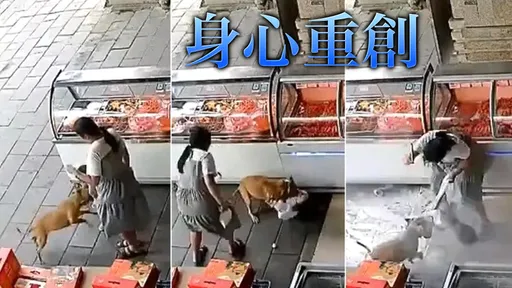 駭人影片|小黃狗莫名狂咬3歲女 硬扛群毆被打到死才鬆口