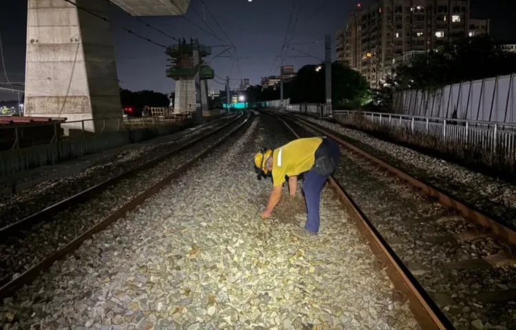 台鐵公司嘉義工務段派人巡查，發現僅是一堆枯枝，當下就已移除。台鐵公司提供