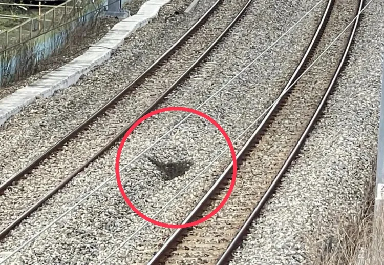 網友擔心坑洞是因為地基流失造成，趕緊上網PO文警告。翻攝照片