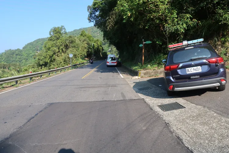 林姓女飼主放任小狗到處跑釀成車禍，警方要追究責任。翻攝畫面