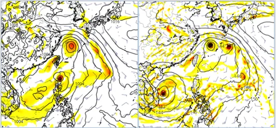最新(14日20時)模式對週三(18日) 20時的模擬圖〔左圖歐洲模式ECMWF)，右圖美國模式(GFS)〕顯示，大「季風環流(Monsoon Gyre)」內有多個擾動發展，位置、強度有很大差異。(圖擷自tropical tidbits)氣象應用推廣基金會