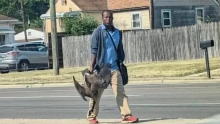 目前俄州春田市移民吃寵物的話題已在X上散開。翻攝自X@thewontonshawn