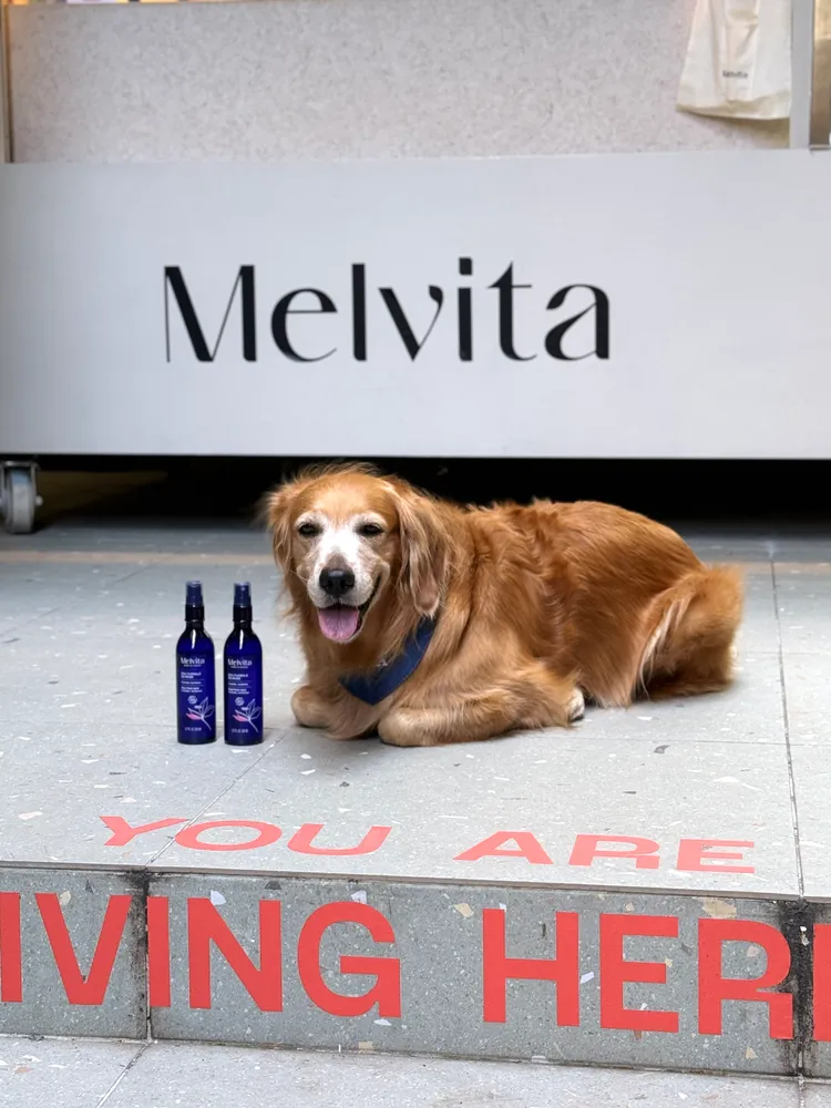 蜜葳特在中山商圈打造浪漫的法式花路。張家玲攝