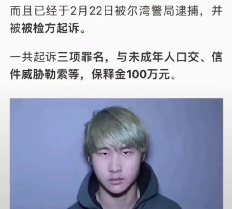 中國網友掀出「愛國網紅」亞人的老底，他曾在美國因性侵等罪，坐過2年牢。翻攝微博/起底亞人