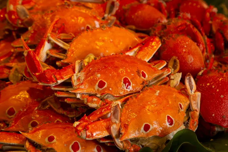 君品酒店與亞果薈同步推出萬里蟹桌菜饗宴。業者提供