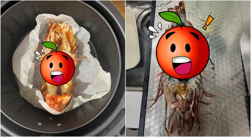 好市多海虎虾竟藏「大坨黑泥」!她吓问能吃吗?内行人却赞:极品