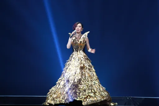 國慶晚會搶看江蕙！林延鳳批「準實名制」防不了黃牛更埋維安隱憂