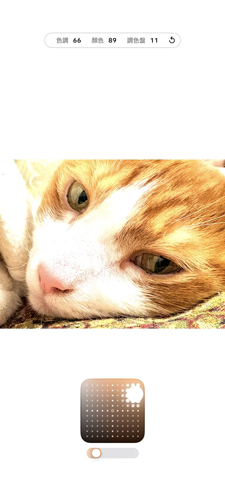 同樣有新一代的攝影風格調整模式，調整介面相當的直覺。趙筱文 攝