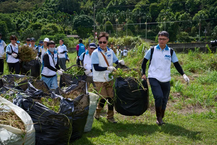 總共移除1560公斤小花蔓澤蘭。農業局提供