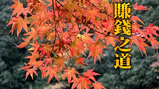 迎秋分!射手雙子抓住新商機 第1名穩定積財