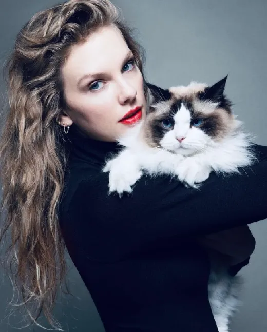 泰勒絲貼出她抱著貓咪的真實照片，抗議川普的AI圖片並宣布支持賀錦麗。翻攝Instagram@taylorswift