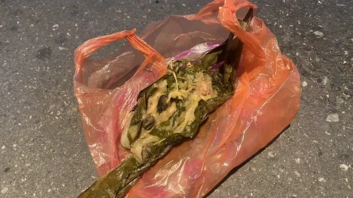 蝸牛小米粽釀3死 他疑寄生蟲感染不會這麼快!醫師:應有其他原因