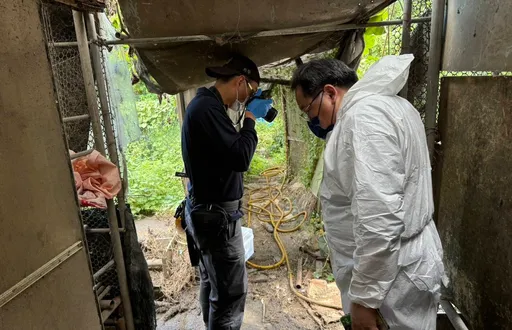 桃園男控越配妻殺狗賣肉 動保處:查無屠狗跡證卻發現違法宰雞