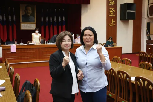 召委選舉結果出爐！綠營、泛藍各擁8席　藍營讓外交國防給民眾黨