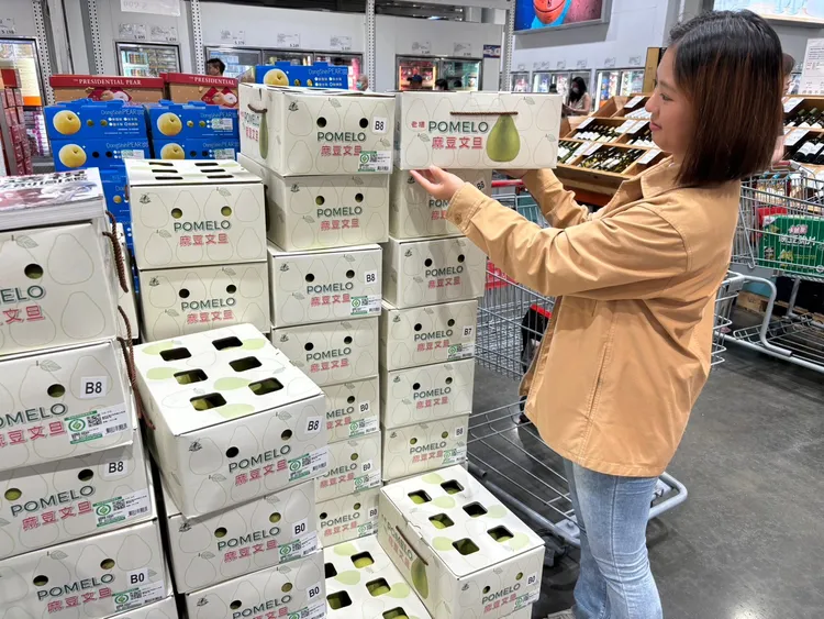 中秋不可缺的產銷履歷文旦禮盒，送禮自用皆適宜。業者提供