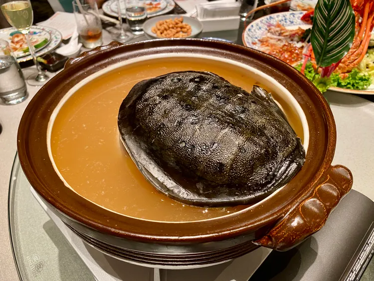 北投晶泉丰旅餐廳「泉源閣」可吃到經典酒家菜雞仔豬肚鱉。莊偉祺攝