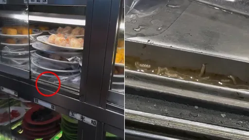 驚!行天宮知名自助火鍋店驚見蛆蟲 衛生局揪7項不合格!最高罰2億