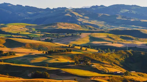 台商網紅赴新疆旅遊 政院:赴中可能導致國家聲譽受損