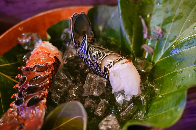 龍蝦沙西米。田欣雲攝影