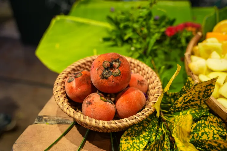 毛柿在阿美族人心中象徵著「家」，傳統會在家中種植毛柿樹，晚輩也會用毛柿果實孝敬長輩。田欣雲攝影