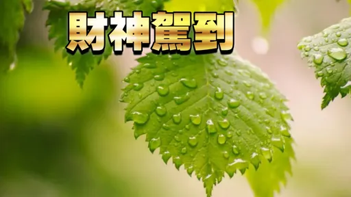 白露节气带旺3星座财运 第1名长久努力终获回报