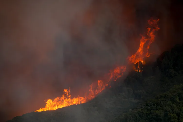 南加州發生森林大火，燃燒面積超過313座小巨蛋。美聯社