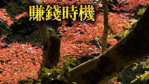 秋分這生肖最旺!虎職場突破 雞走貴人運