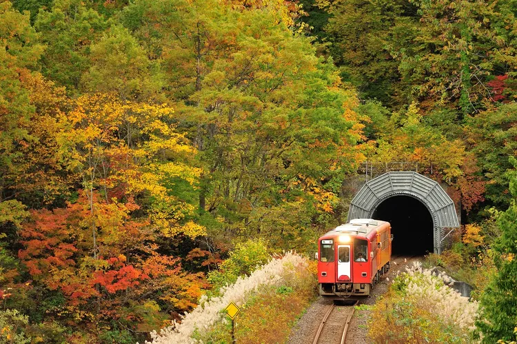內陸縱貫鐵道沿途貫穿許多山間田野，不少鐵道迷會查好時刻表，等待列車經過美景，捕捉動人的片刻。秋田內陸縱貫鐵道股份有限公司提供