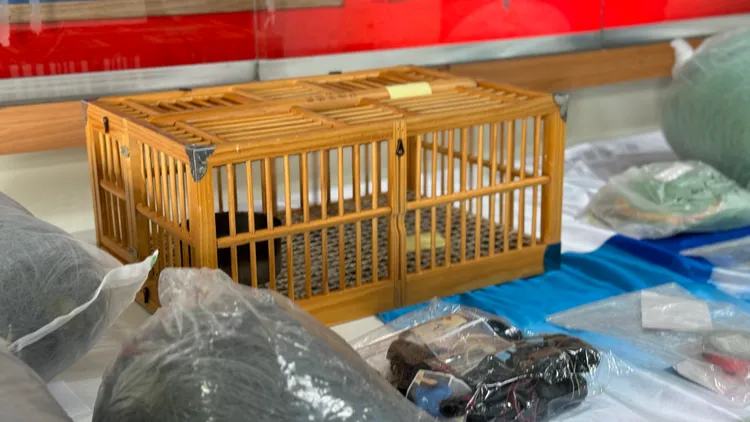 捕捉賽鴿每隻代價數千元不等，犯嫌再向飼主勒贖，贖金依賽鴿身價從數萬元不等起跳。民眾提供