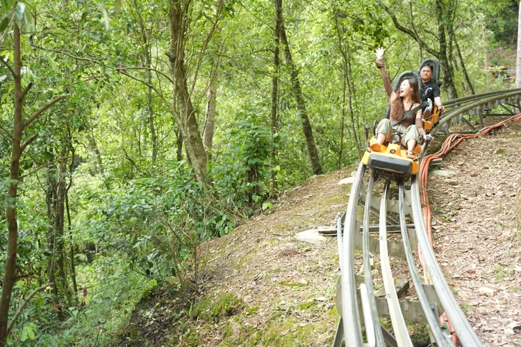 「達坦拉瀑布（Datanla Water Falls）」亞洲最長過山車體驗值得一試。S.H.攝