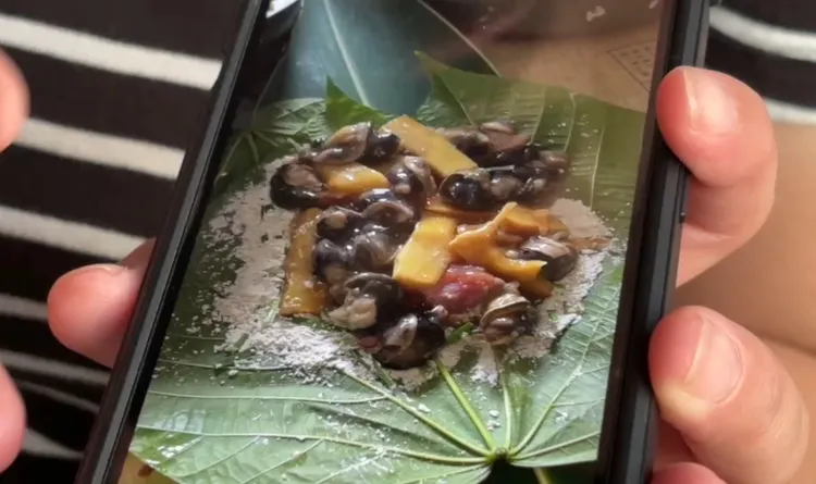 村人出示阿嬤所包蝸牛小米粽，聲稱裡面鍋牛與五花肉都是生的。翻攝畫面