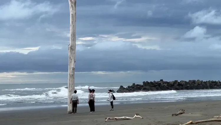 這根樹幹應為漂流木，但插入沙地甚深，單靠人力無法完成。民眾提供