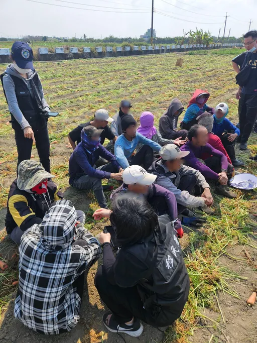 台越2男聯手非法仲介！招攬失聯移工日賺上萬元　農場主僱工慘罰75萬　