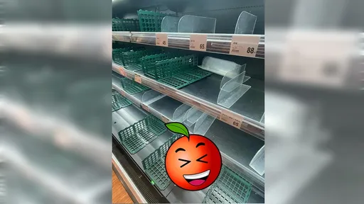 颱風預期心理青菜被搶光　剩這1物讓金鐘男星笑：餓死也不吃