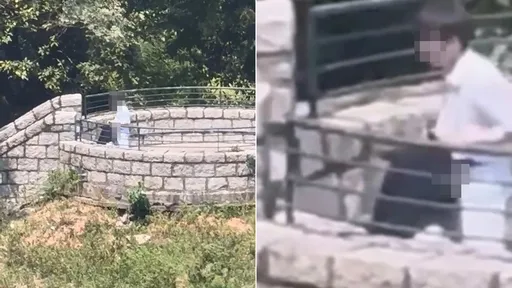 公園瞭望台「學生口愛活春宮」 他激烈震動13秒然後就沒了