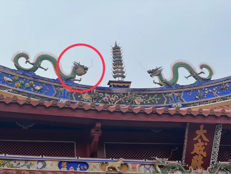 孔廟大成殿上方的龍型交趾陶，可看出左邊龍頭明顯變大，原來是多了個虎頭蜂窩。民眾提供