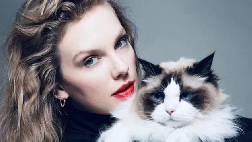 天后表態效應!泰勒絲IG發文挺賀錦麗 獲近1000萬個讚眾多名人響應