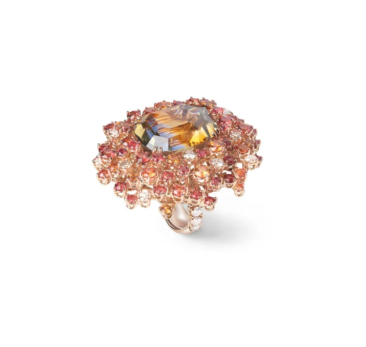 Mimosa Tramonto
含羞草18K玫瑰金雙色藍寶石、鑽石與淺色藍寶石高級珠寶戒指，主石為25.82克拉枕型切割雙色藍寶石，825萬元。品牌提供
