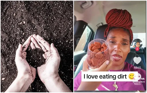 誰說沒錢才吃土?愛美人士宣稱這些神奇效果 「沒人能阻止我」