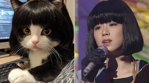 短髮貓咪「中森明菜」超級萌　愛了！網友：這是真正的貓女