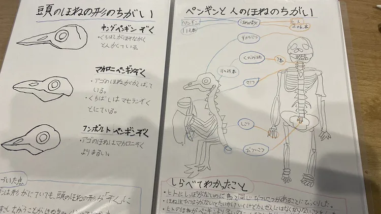 小二女生的企鵝筆記。翻攝自@funfan2nd X