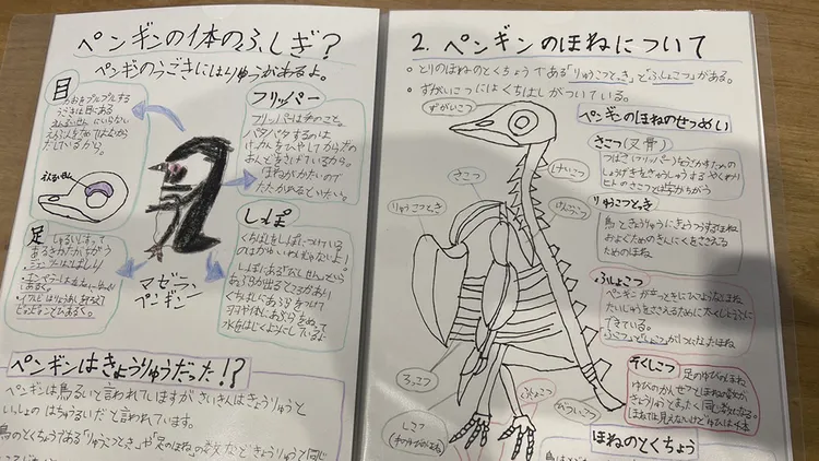 小二女生的企鵝筆記。翻攝自@funfan2nd X