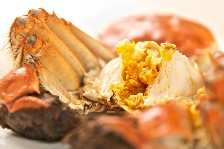 大閘蟹。資料照