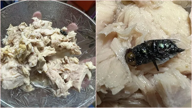 有網友吃鮪魚罐頭，竟然發現一隻大蒼蠅。翻攝自爆料公社