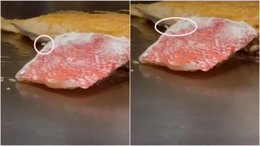 鐵板燒煎台上「肥蟲與魚共舞」 超扯畫面瞬間變雙主餐