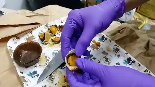 蛋黃酥被爆有蟑螂!不二糕餅提告 中市食安處稽查結果出爐