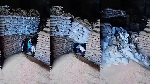 驚悚影片｜倉庫「麥牆」突然崩塌　工人一起活埋1死4重傷