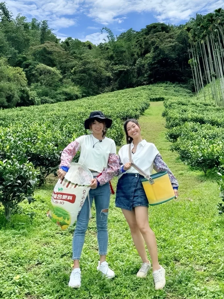 屠潔（右）和段慧琳赴南投採茶。民視提供